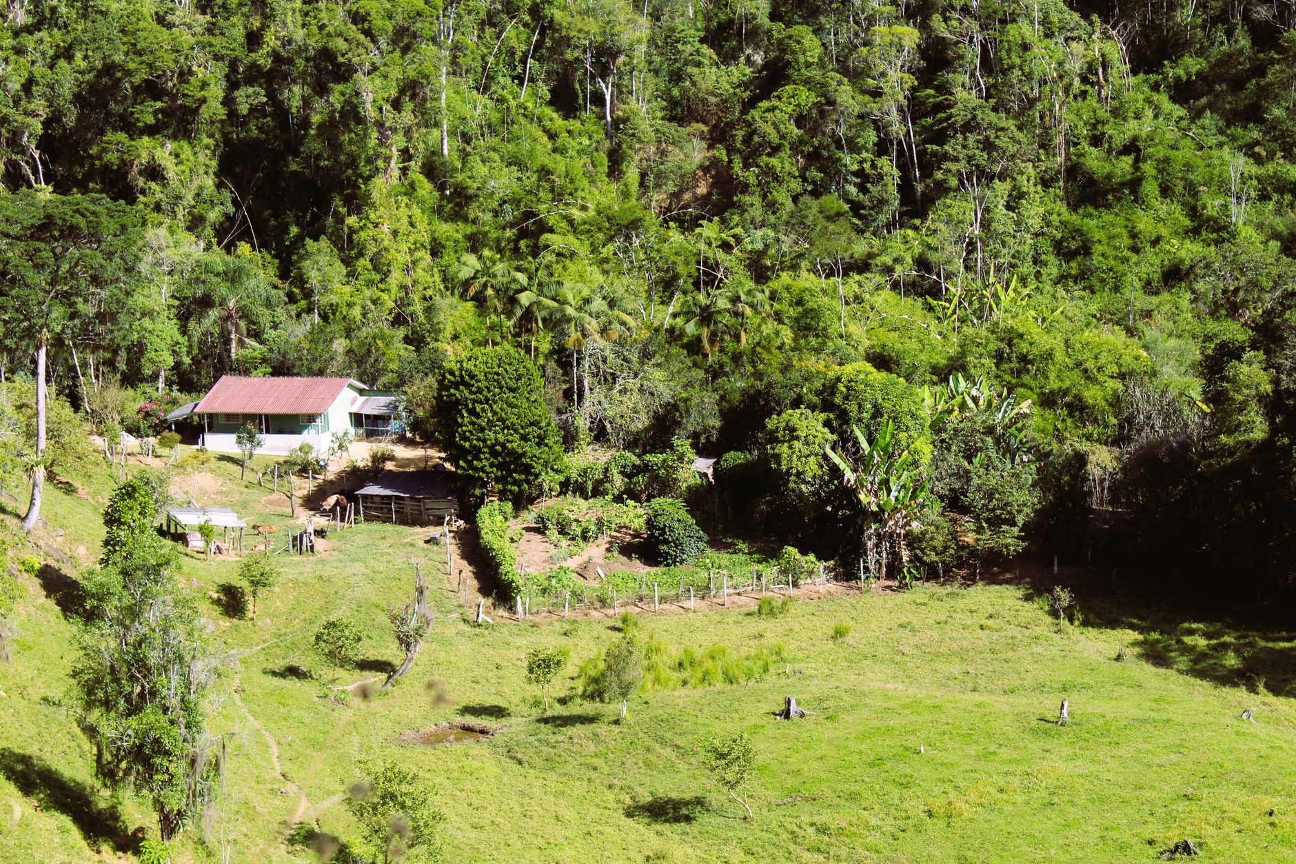 Aerial view of a rural farm surrounded by dense forest in Barra do Turvo, São Paulo, Brazil.